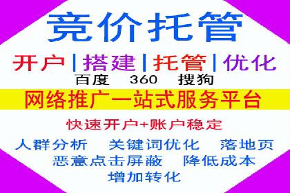 SEM公司广告策略案例：如何实现ROI最大化
